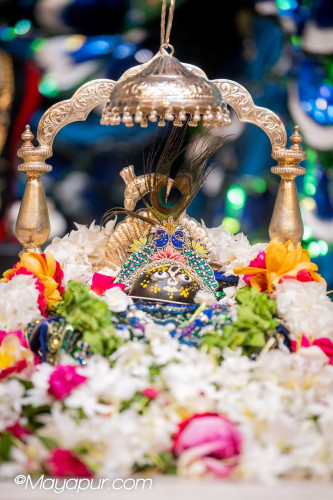 Daily Darshan