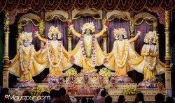 Daily Darshan