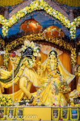 Daily Darshan