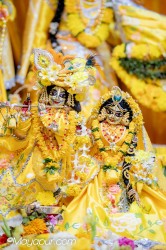 Daily Darshan