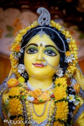 Daily Darshan
