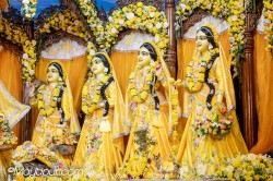 Daily Darshan