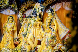 Daily Darshan