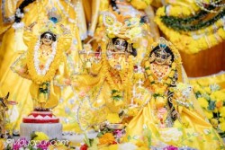 Daily Darshan