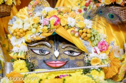 Daily Darshan