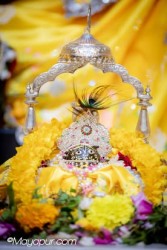 Daily Darshan