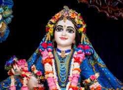 Daily Darshan