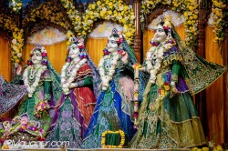 Daily Darshan