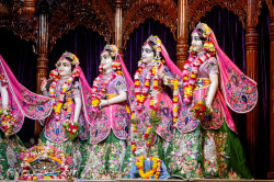 Daily Darshan
