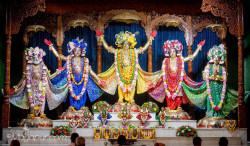 Daily Darshan