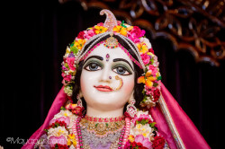 Daily Darshan