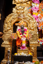 Daily Darshan