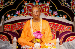 Daily Darshan