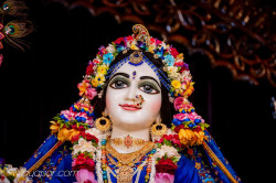 Daily Darshan