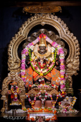 Daily Darshan