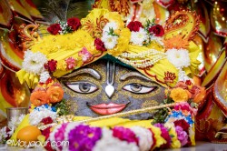 Daily Darshan