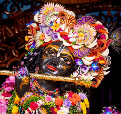 Daily Darshan