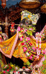 Daily Darshan