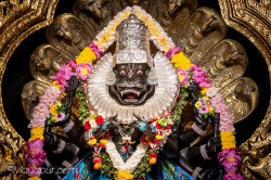 Daily Darshan