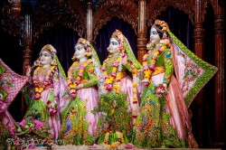 Daily Darshan