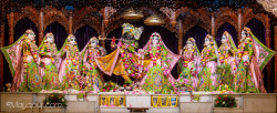 Daily Darshan