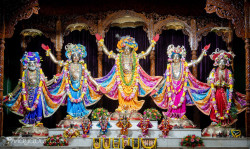 Daily Darshan