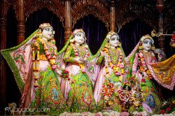 Daily Darshan