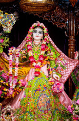 Daily Darshan