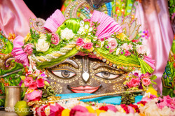 Daily Darshan