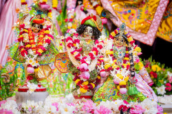 Daily Darshan