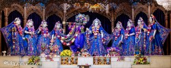 Daily Darshan