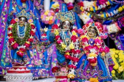 Daily Darshan