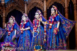 Daily Darshan