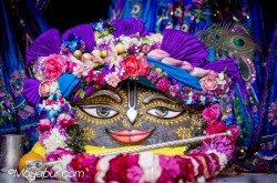 Daily Darshan