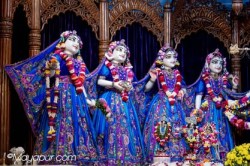 Daily Darshan