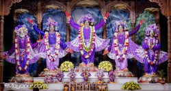 Daily Darshan
