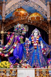 Daily Darshan
