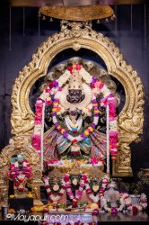 Daily Darshan