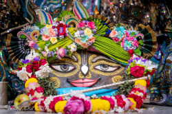 Daily Darshan