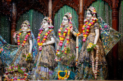 Daily Darshan