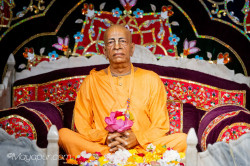 Daily Darshan