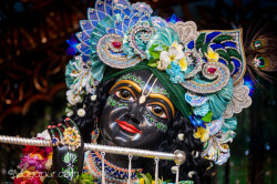 Daily Darshan