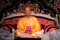 Daily Darshan