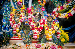 Daily Darshan