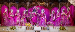 Daily Darshan