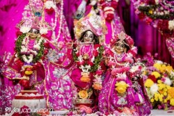 Daily Darshan