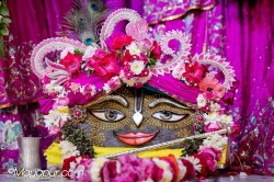 Daily Darshan