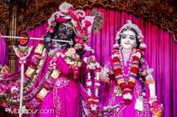 Daily Darshan