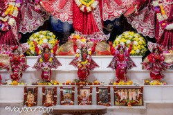 Daily Darshan