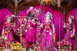 Daily Darshan